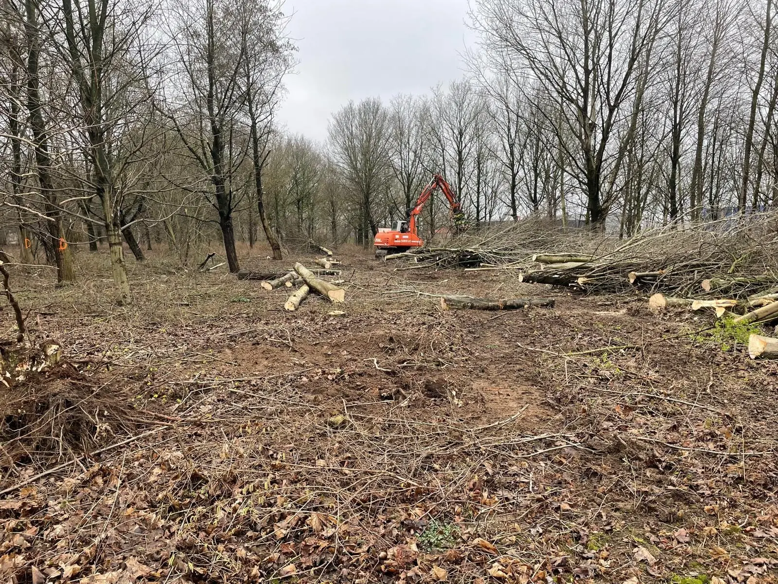 Bomen kappen en rooien met een graafmachine