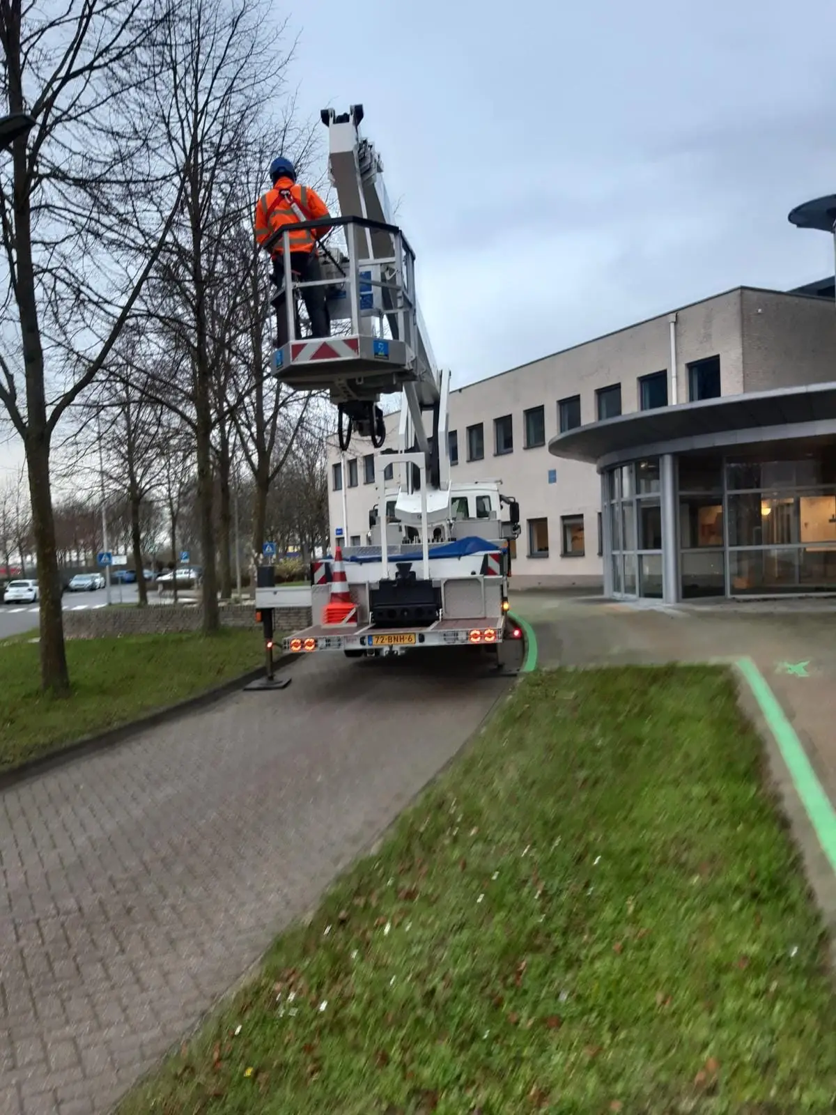 Bomen snoeien met een hoogwerker op een bedrijfsterrein