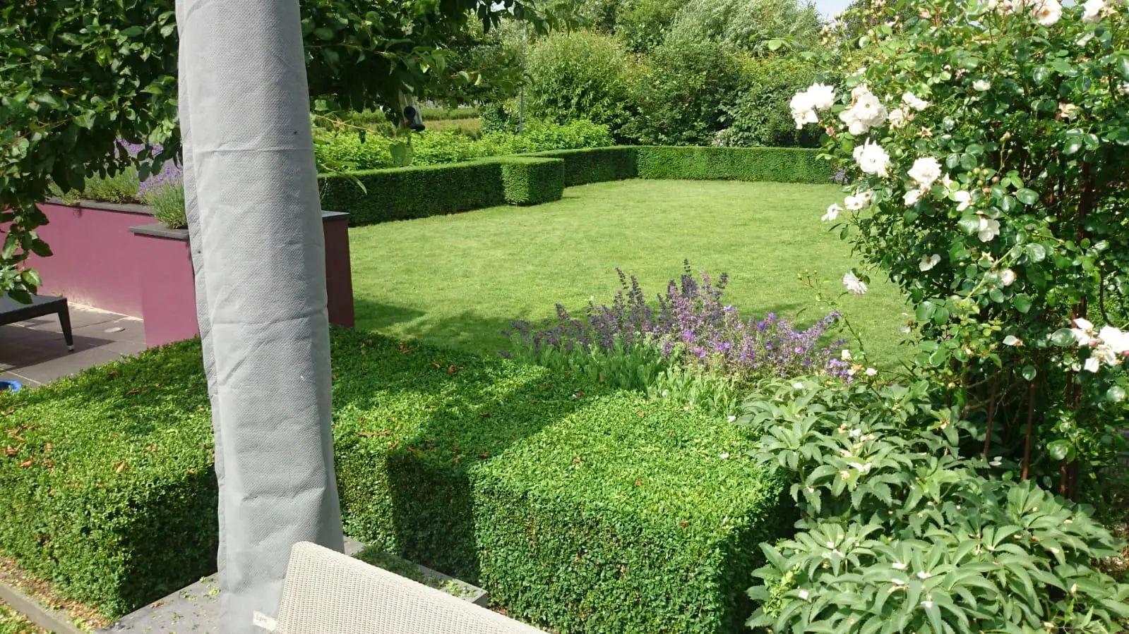 Onderhouden tuin met hagen en borders