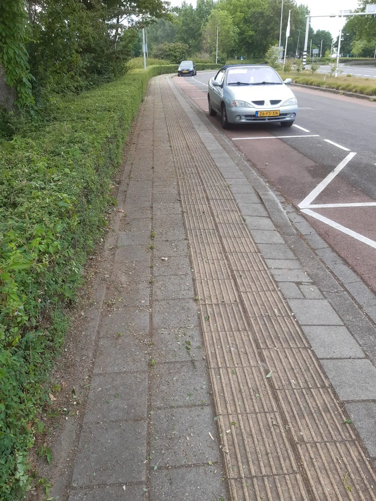 Gesnoeide struiken langs een fietspad aan de openbare weg