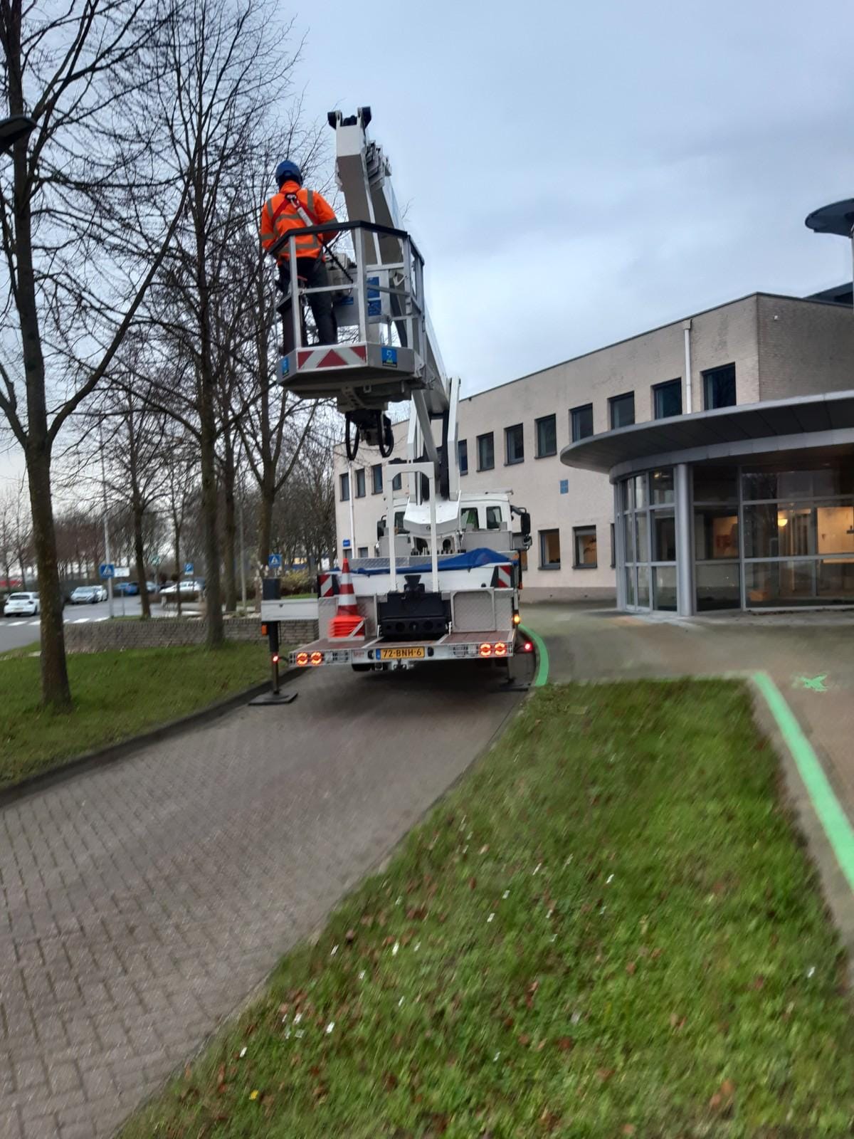 Snoeien van bomen met een hoogwerker op een bedrijventerrein, uitgevoerd door De Tuynderie.