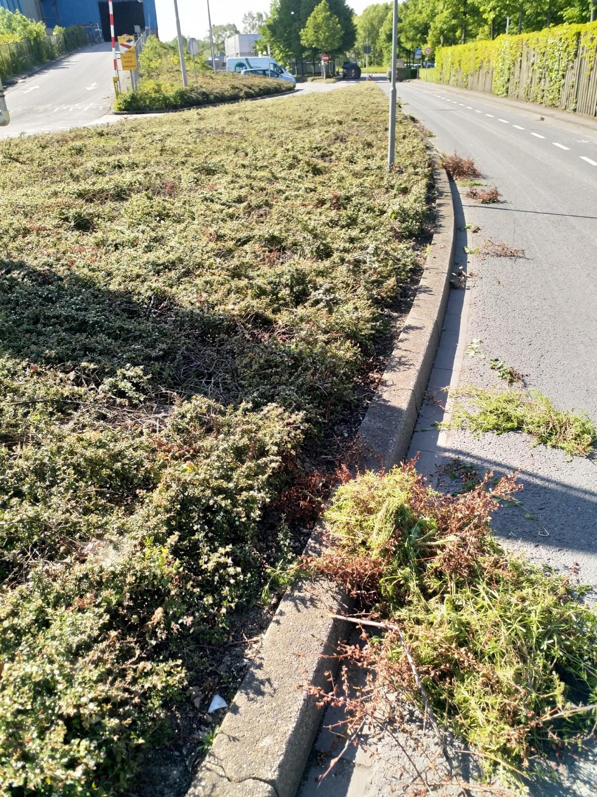 Snoeien van struiken langs een weg op een bedrijventerrein, uitgevoerd door De Tuynderie.